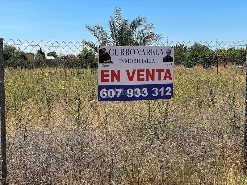 Foto e86831c8-12ff-4af7-81c0-50511a5f3007. Fondo rustico in don rodrigo 0 in Pedanías Norte Utrera