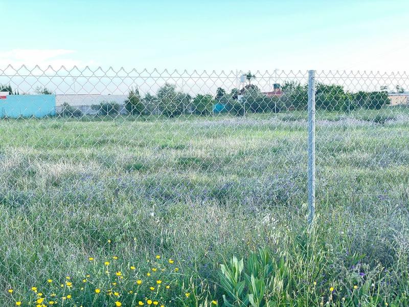 Foto 98495639-a184-41d3-adc2-9c6bf421d61e. Landgut in don rodrigo 0 in Pedanías Norte Utrera