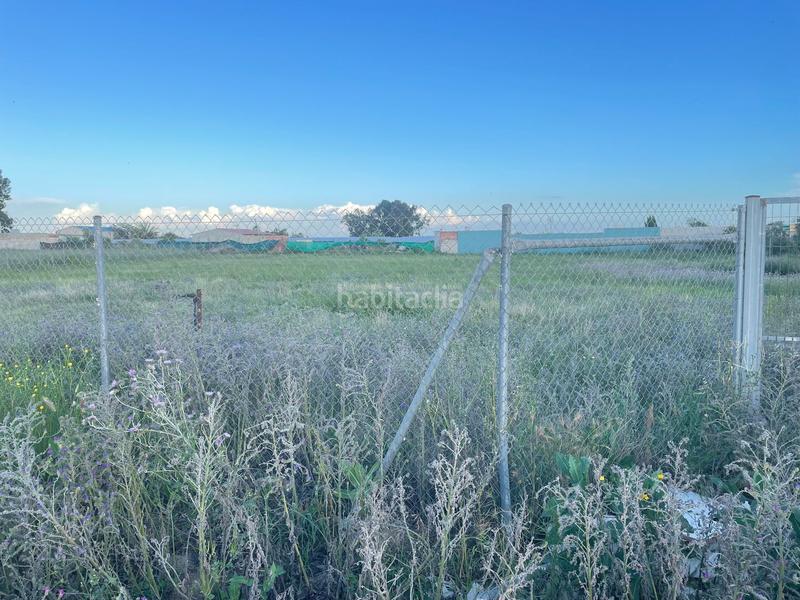 Foto d4aefada-1e90-412c-9cdc-730f31639f9b. Landgut in don rodrigo 0 in Pedanías Norte Utrera