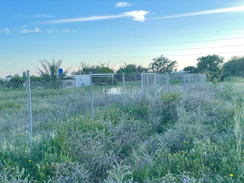 Foto dab23ac4-287c-4313-8231-b6dbe238a445. Landgut in don rodrigo 0 in Pedanías Norte Utrera