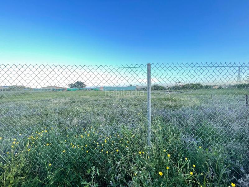 Foto 55c055ae-c319-41fa-9a4a-abab754af965. Propriété dans don rodrigo 0 dans Pedanías Norte Utrera