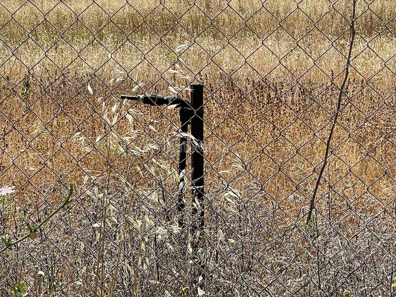 Foto 6023ff17-e0ce-49bc-adf5-32d0afdee2e6. Propriété dans don rodrigo 0 dans Pedanías Norte Utrera