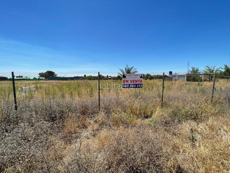 Foto b6c5f763-804a-4cc3-a804-c7d7505ba6bd. Propriété dans don rodrigo 0 dans Pedanías Norte Utrera