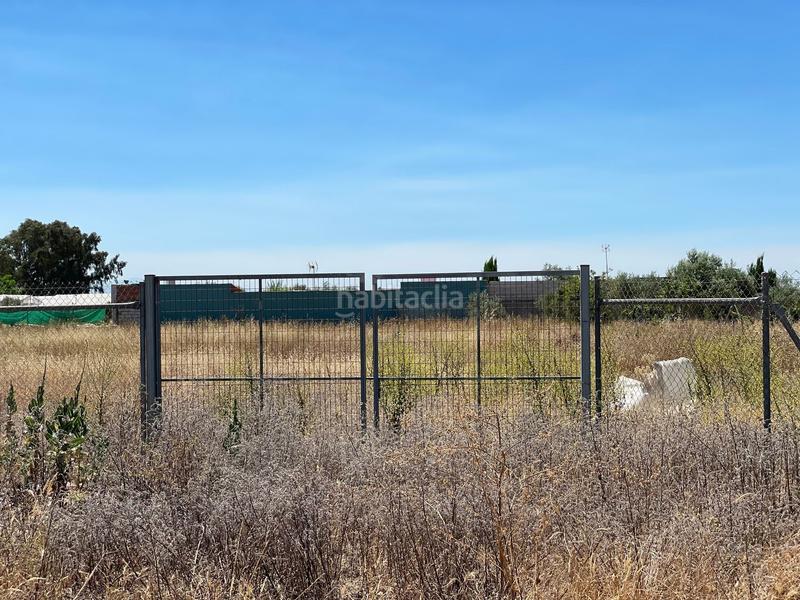 Foto c2bd1730-6b5c-40a1-bbe9-1cba1e221d21. Propriété dans don rodrigo 0 dans Pedanías Norte Utrera