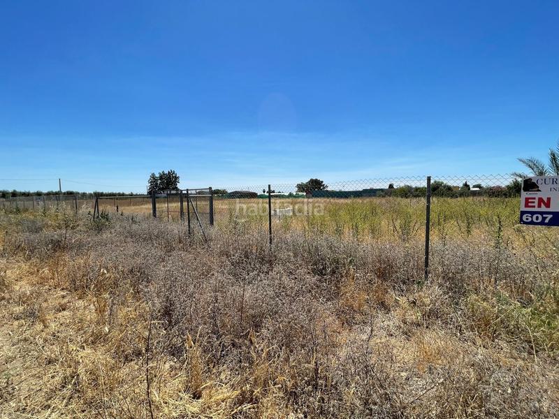 Foto ca382942-2101-4b31-97d3-f3ed3676ba73. Finca rústica a don rodrigo 0 a Pedanías Norte Utrera