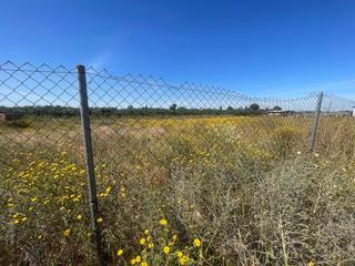 Rural plot in Don rodrigo 15