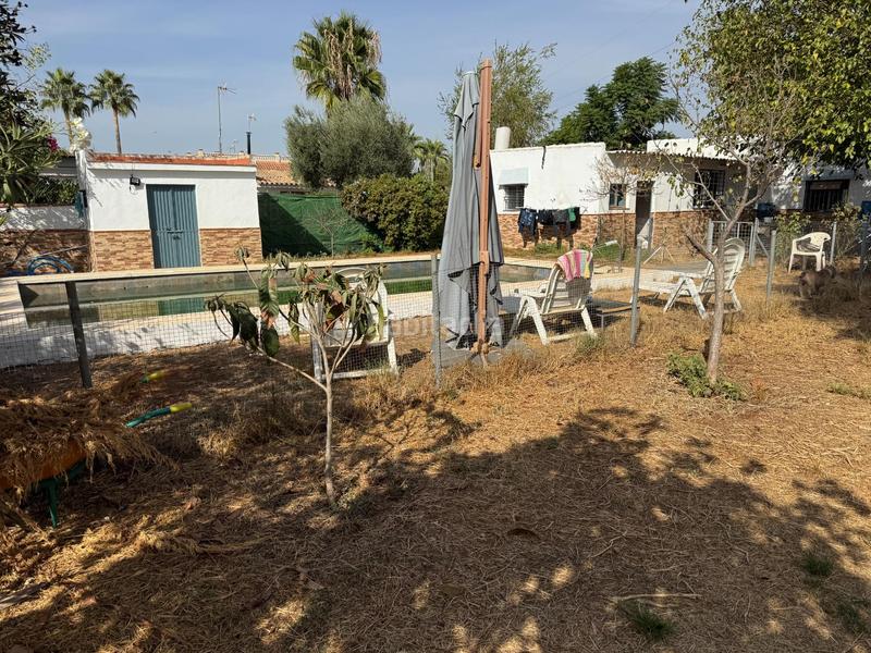 Foto 0d1eaeba-15e2-499e-b4af-128b8cc289b6. Finca rústica a Vista Azul - Consolación Dos Hermanas