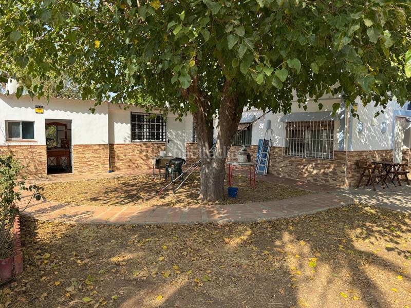 Foto 32860e29-0479-4d57-a0c8-9377c42ba0c6. Finca rústica a Vista Azul - Consolación Dos Hermanas