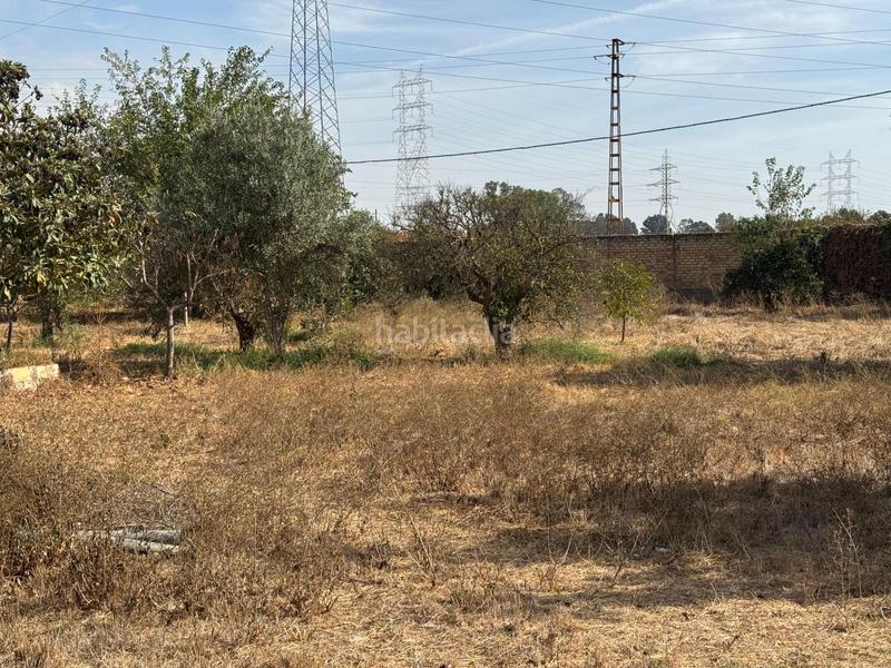 Foto 5e20e013-7c9d-41de-9a37-3cefed738f18. Finca rústica a Vista Azul - Consolación Dos Hermanas