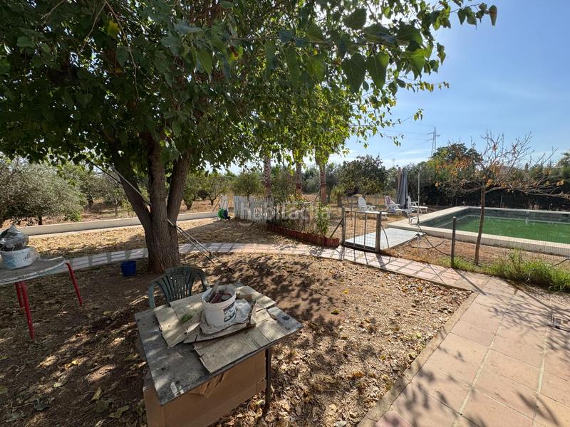 Foto 6af30a0c-b4fb-48cf-aa84-8a9423d914b9. Finca rústica a Vista Azul - Consolación Dos Hermanas