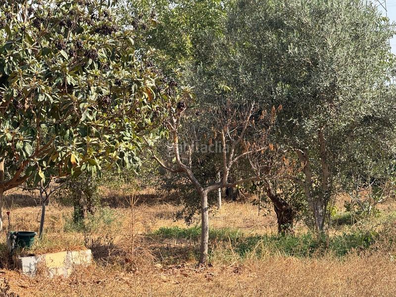 Foto 848490da-bb25-4396-94a4-7e275c8f9150. Finca rústica a Vista Azul - Consolación Dos Hermanas