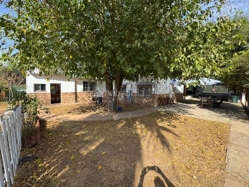 Foto 9c0968eb-ad98-44ce-84e9-4907c4aadc4e. Finca rústica a Vista Azul - Consolación Dos Hermanas