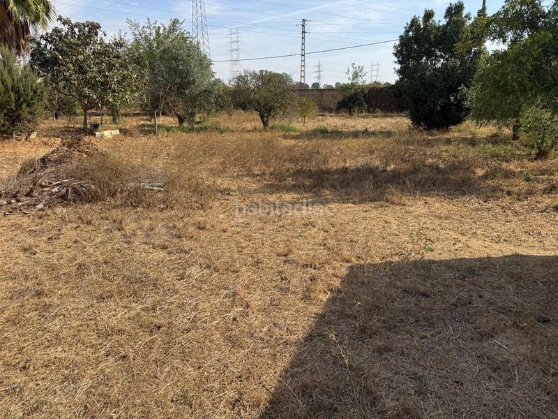 Foto b18a9d4f-3291-4a89-af45-ea325e9cc37f. Finca rústica a Vista Azul - Consolación Dos Hermanas