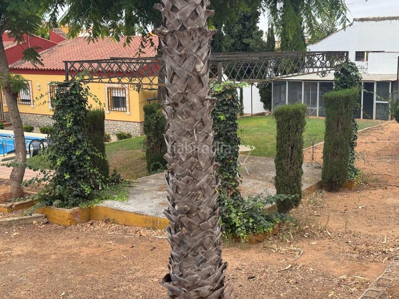 Foto 0c9c1d5a-fca0-4c6a-8641-a54b3cecc7a3. Xalet amb calefacció aparcament piscina a Oromana Alcalá de Guadaira