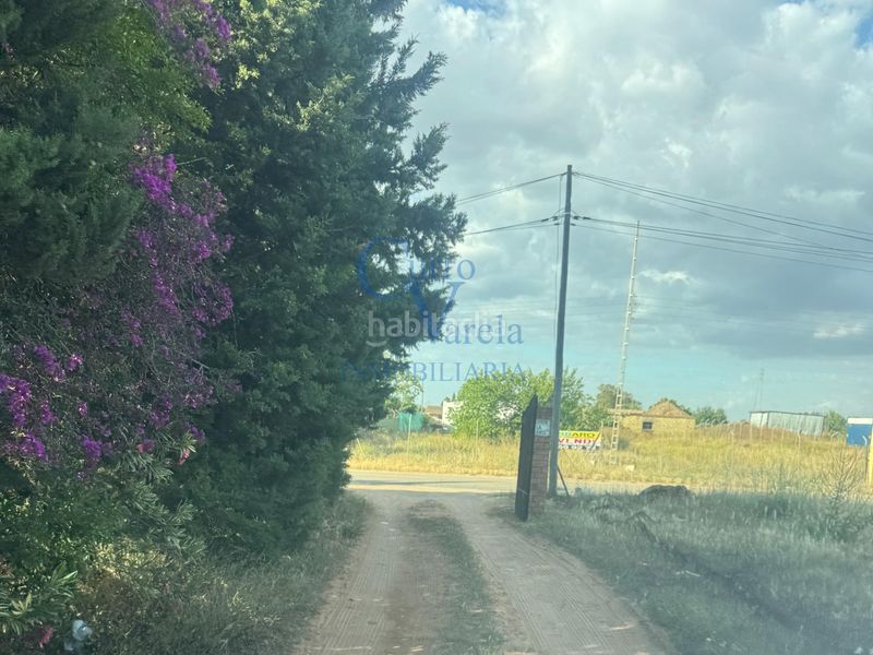 Foto 444c4e6e-b391-4189-bf68-e0cb1099b522. Finca rústica a Vista Azul - Consolación Dos Hermanas