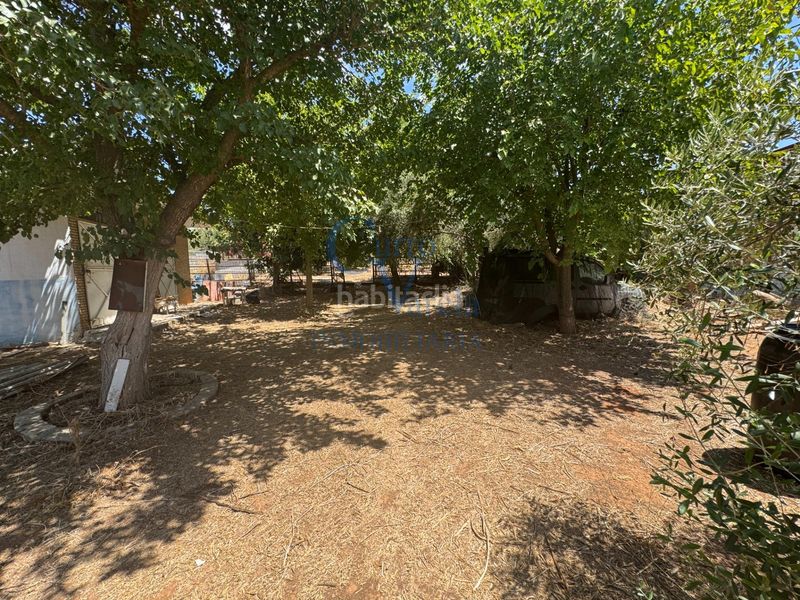 Foto 9ee3aad9-a809-4671-954f-7877c856b578. Finca rústica a Arco Norte - Avda España Dos Hermanas