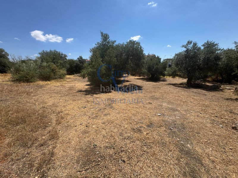 Foto f5324643-bb38-4cf5-a3fe-6d141ca0deb4. Finca rústica a Arco Norte - Avda España Dos Hermanas