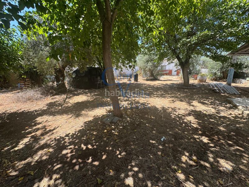 Foto f76bc85a-2030-4852-a846-e4abe9730f83. Finca rústica a Arco Norte - Avda España Dos Hermanas