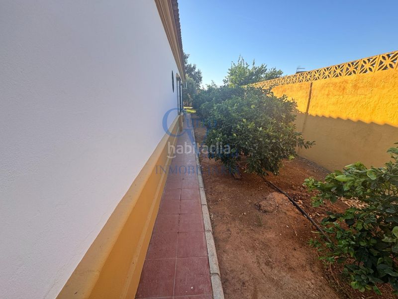 Foto 563dae0c-c775-452a-8626-4a635cb26bfc. Masia amb calefacció aparcament piscina a La Hacienda - Nueva Andalucía Dos Hermanas