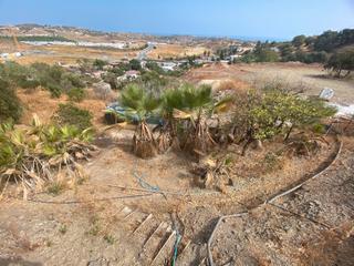 Fondo rustico in Mijas pueblo