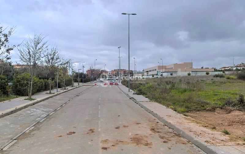 Foto 58fef954-7722-4406-bd3b-3df3bce78efc. Fondo rustico in Nuevo Bulevar Mairena del Aljarafe