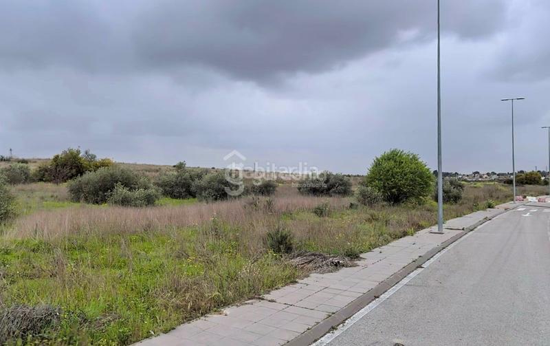 Foto 6bc1d41f-3309-4f51-9b1d-6f920e7aab4d. Fondo rustico in Nuevo Bulevar Mairena del Aljarafe