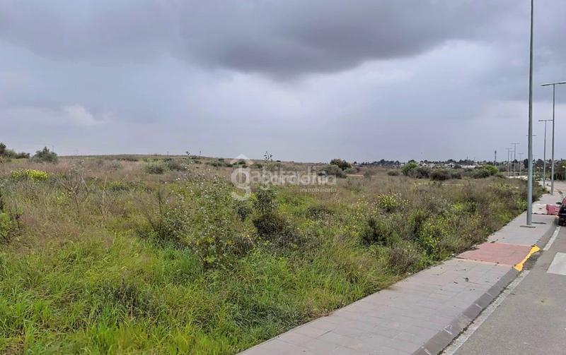 Foto 996fbb3d-0916-41f5-8466-617dddff36c9. Fondo rustico in Nuevo Bulevar Mairena del Aljarafe