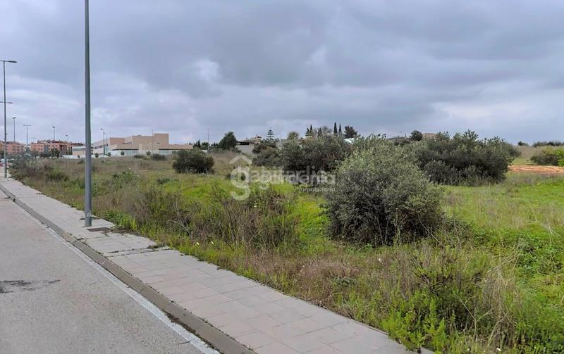 Foto c31f9cb3-d627-4535-b83c-d5ddbefa29d0. Fondo rustico in Nuevo Bulevar Mairena del Aljarafe