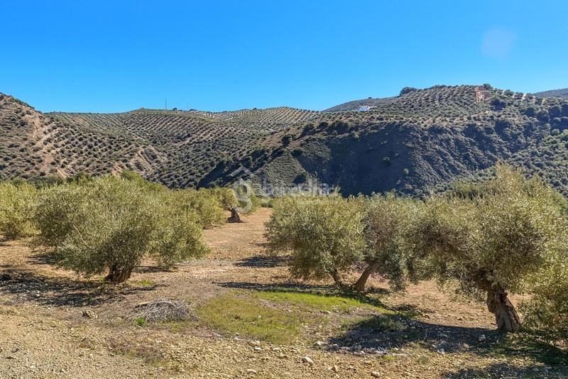 Foto 8238d3f0-93f5-4ea5-9853-ae33487b7046. Landgut in Priego de Córdoba