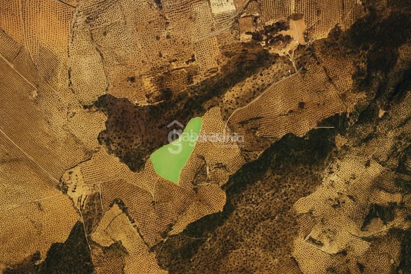 Foto ef4b43d3-6531-4acd-801f-426770999541. Landgut in Priego de Córdoba