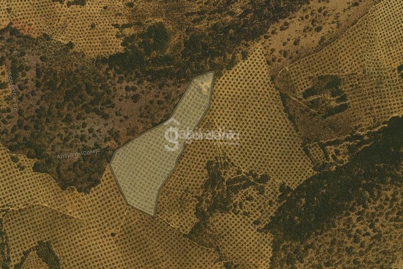 Foto 258d775a-72ea-46ff-b07a-db859511c930. Rural plot in Priego de Córdoba