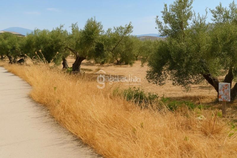 Foto 50b1dd6d-1800-4544-9f4a-65bb0b9678e1. Rural plot in Priego de Córdoba