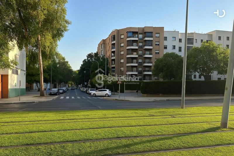 Foto 29b1e541-7dd8-461d-b168-daf349aea0af. Rent flat with heating pool in San Bernardo Sevilla