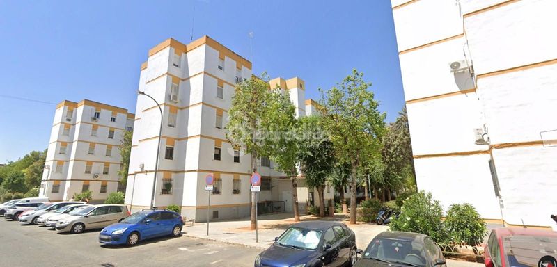 Foto b4c001c1-979b-4304-a4f5-9c8185d81263. Pis a Pino Montano - Consolación Sevilla