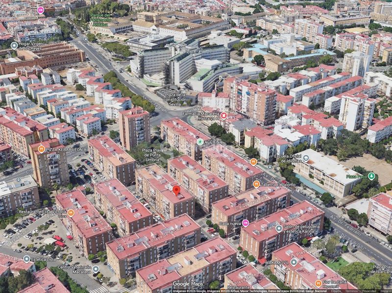Foto 28e1b1d0-3882-46a2-a918-d8218830391d. Pis a El Torrejón - El Cerezo Sevilla