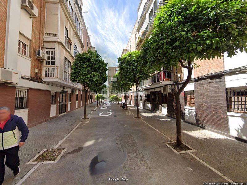 Foto 5a298d9e-a312-4a5e-b0da-ba82e7be0db2. Pis a El Torrejón - El Cerezo Sevilla