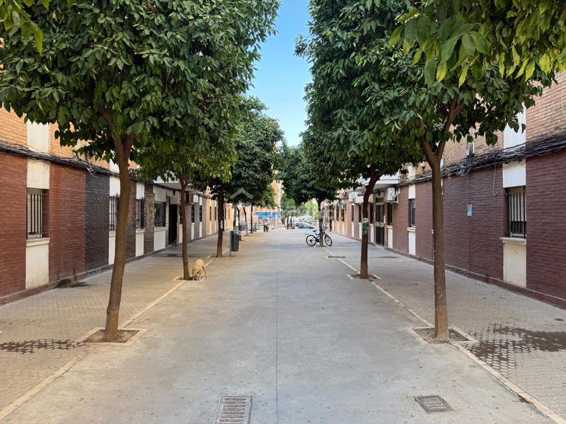 Foto bc48be34-7d13-424f-a17e-7998dbe02bd8. Pis a El Torrejón - El Cerezo Sevilla