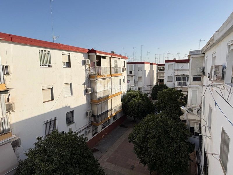 Foto 09f7f080-c40c-4a41-a92f-f8c86d815d7c. Pis a Cruz Roja Sevilla