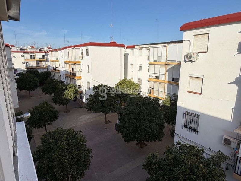 Foto 4c6bf90e-6746-4f7b-a88e-4c3a38ab3239. Pis a Cruz Roja Sevilla