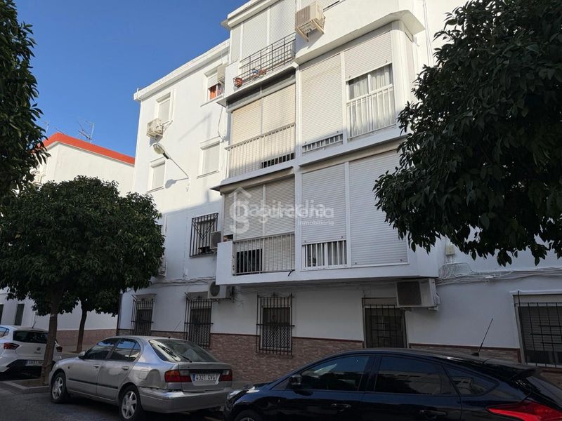Foto b4327816-6b39-46f4-bf26-84a6a312e2f2. Pis a Cruz Roja Sevilla