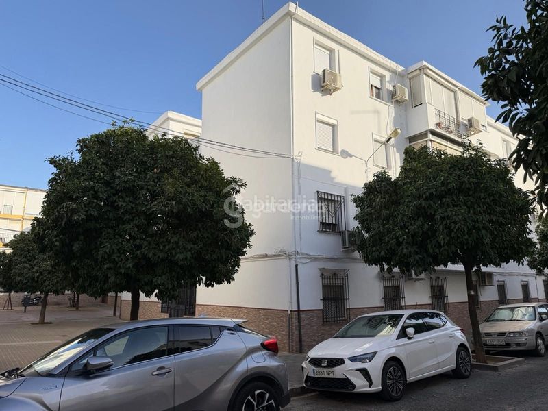 Foto c2a5895c-d925-4fa1-ae31-5d8f342f691f. Pis a Cruz Roja Sevilla