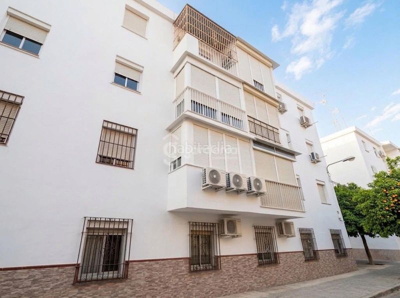 Foto c2f0b4c9-a020-4f01-b9fb-0f6736b502fc. Pis a Cruz Roja Sevilla