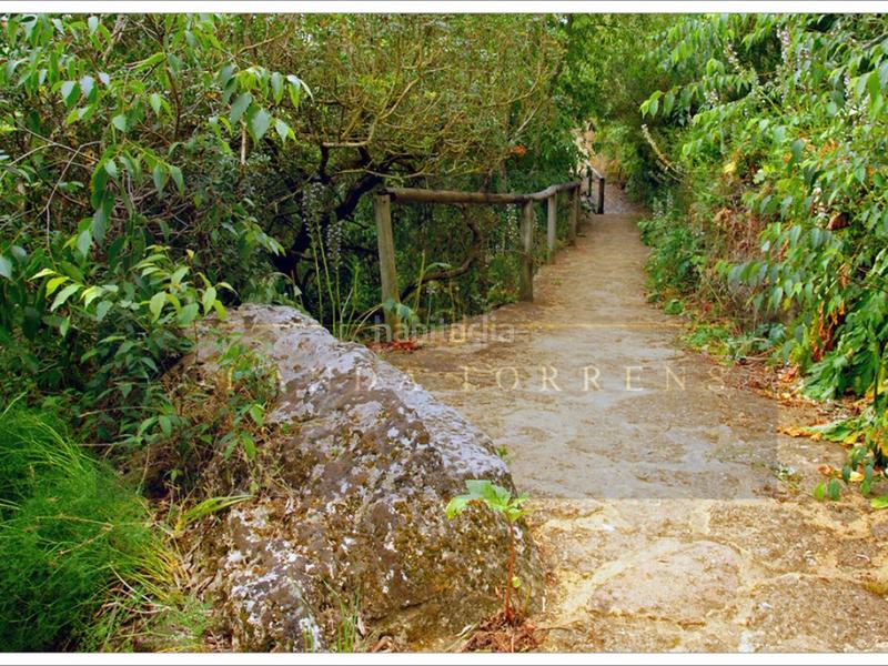 Foto 8467c8be-89c2-4a30-af2c-83ccf2a6d5e5. Terrain résidentiel dans Centro Alcalá de Guadaira