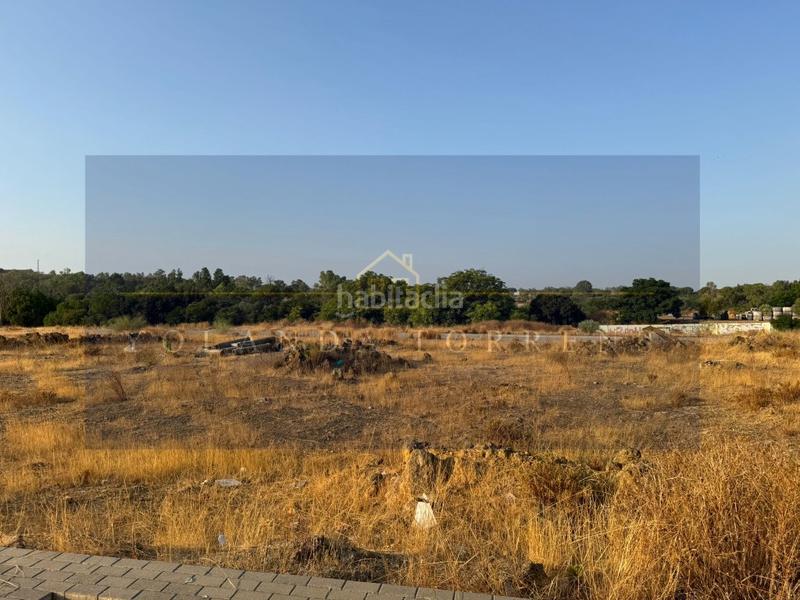 Foto c7501204-5726-4583-ae08-9433cc97a157. Terreny residencial a Los Molinos Alcalá de Guadaira
