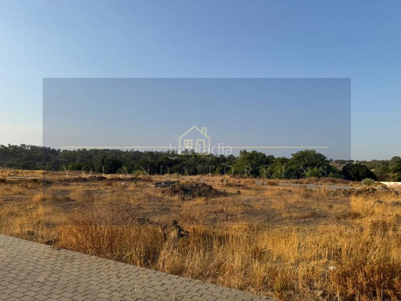 Foto ed36a601-2cbf-4f07-a728-3f2209da1078. Terreny residencial a Los Molinos Alcalá de Guadaira