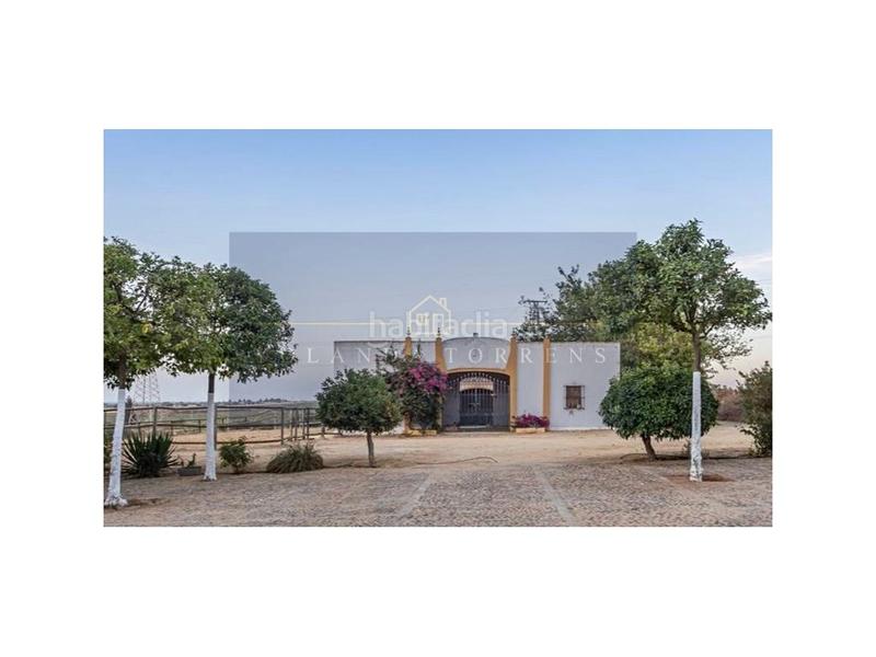 Foto d31fcf3b-40a1-4f00-865f-fd146284d646. Haus mit pool in La Paz Alcalá de Guadaira