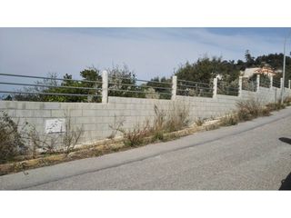 Rural plot in Calle senyera 101. Solar en venta