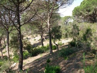 Terreny residencial  Xops. Parcela en venta en roca grossaserra brava