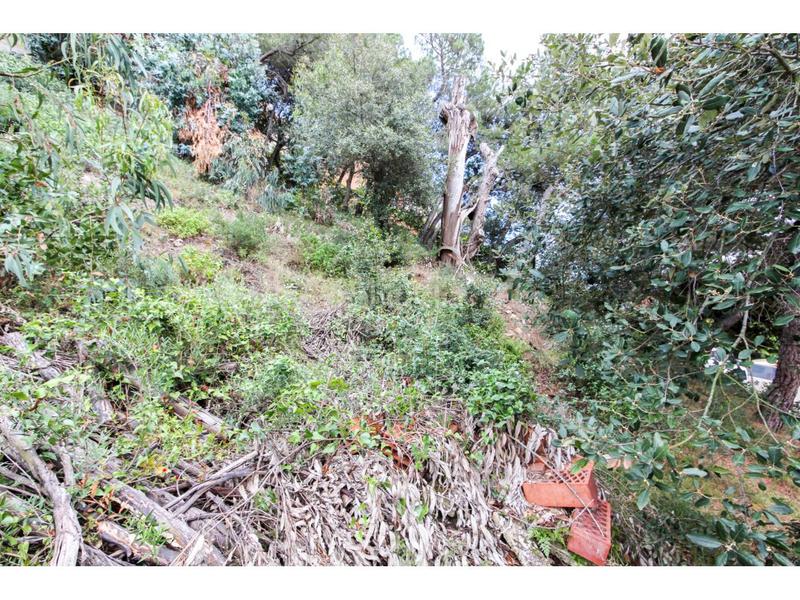 Foto e18558df-9e04-4e85-83f9-49f1c75c4233. Fondo rustico in cardenal vidal i barraquer 25 in Blanes