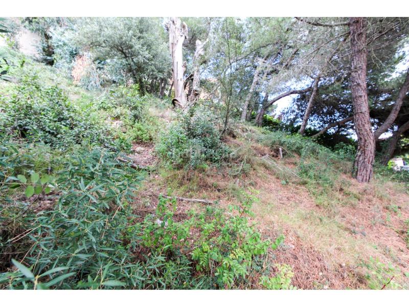 Foto efe23a3a-b1e5-4870-b6e4-a78284fe82ec. Fondo rustico in cardenal vidal i barraquer 25 in Blanes